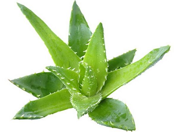 Gelarex contains aloe extract